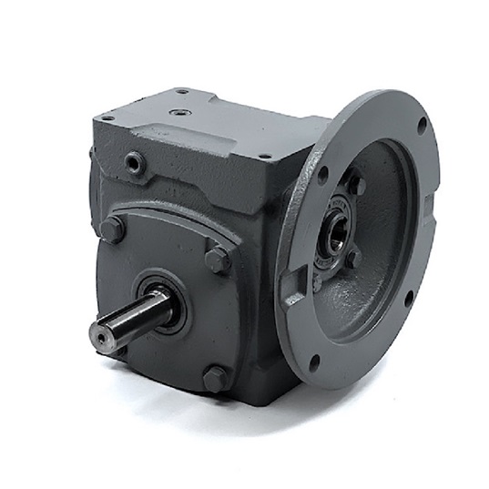 IPTS Single Reduction I Line Worm Gear Speed Reducers